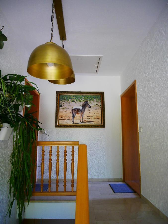 Ferienwohnung Eichkatzel Zell Eksteriør billede